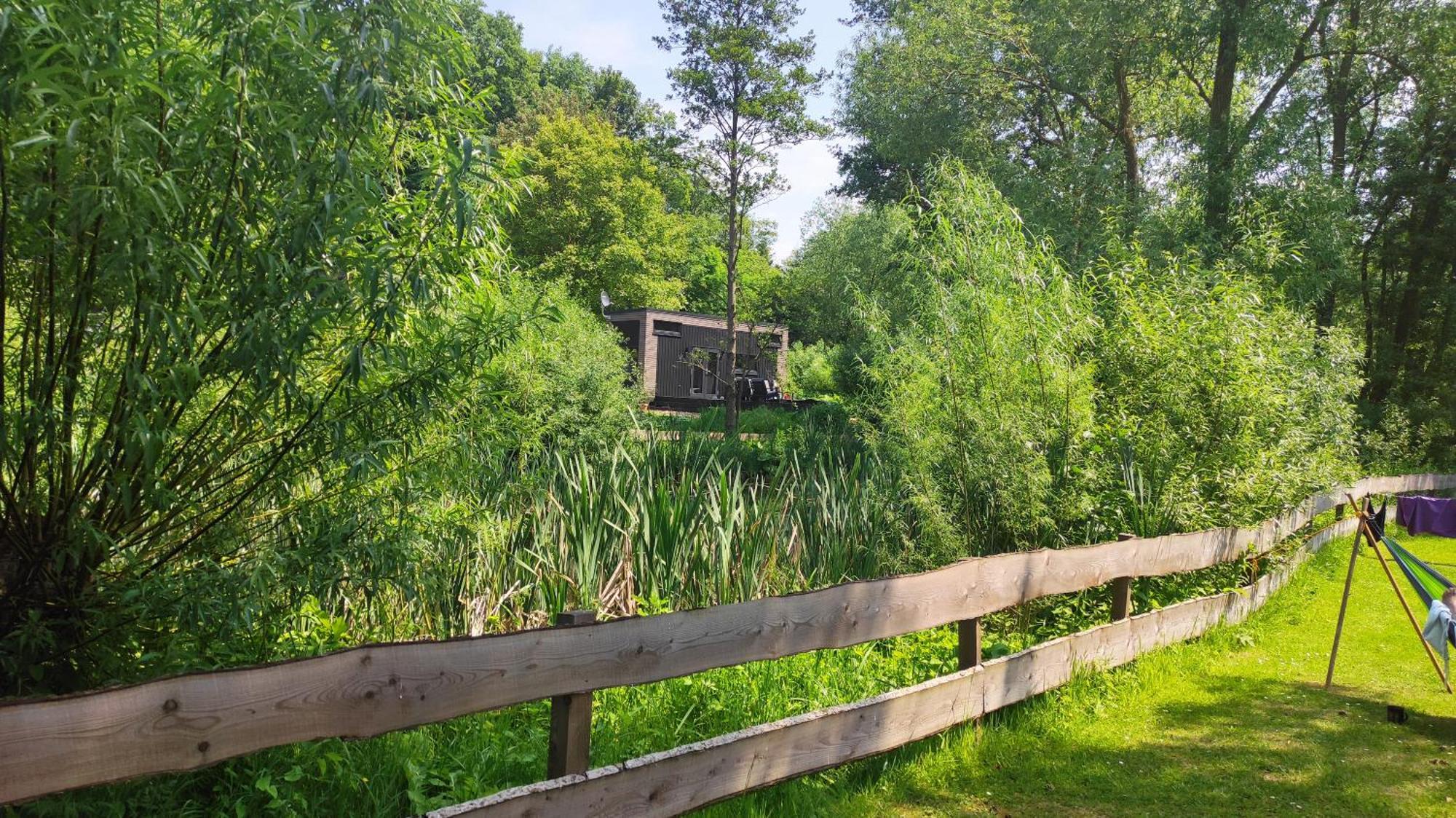 Вілла Tiny House 14 - Sollberg Salzhemmendorf Екстер'єр фото